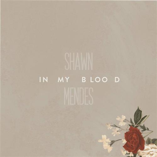 Shawn Mendes In My Blood (arr. Jacob Narverud) Profile Image
