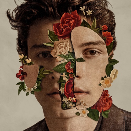 Shawn Mendes In My Blood Profile Image