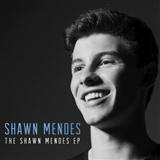 Download or print Shawn Mendes Life Of The Party Sheet Music Printable PDF 5-page score for Pop / arranged Easy Piano SKU: 488639