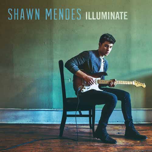 Shawn Mendes Lights On Profile Image