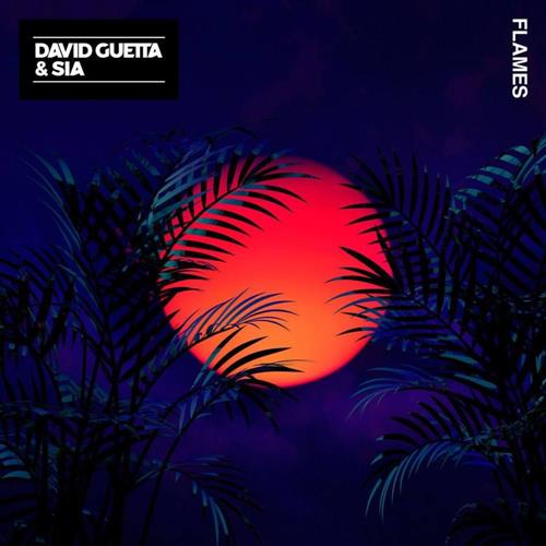 David Guetta & Sia Flames Profile Image