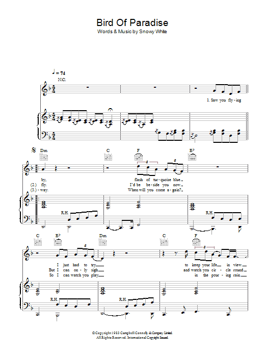 Learn to play Snowy White Bird Of Paradise sheet music for Piano, Vocal & Guitar in minutes. Price: 7.8900$ Snowy White Bird Of Paradise sheet music notes and chords. Download Printable PDF.