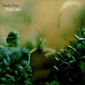 Steely Dan Chain Lightning Profile Image