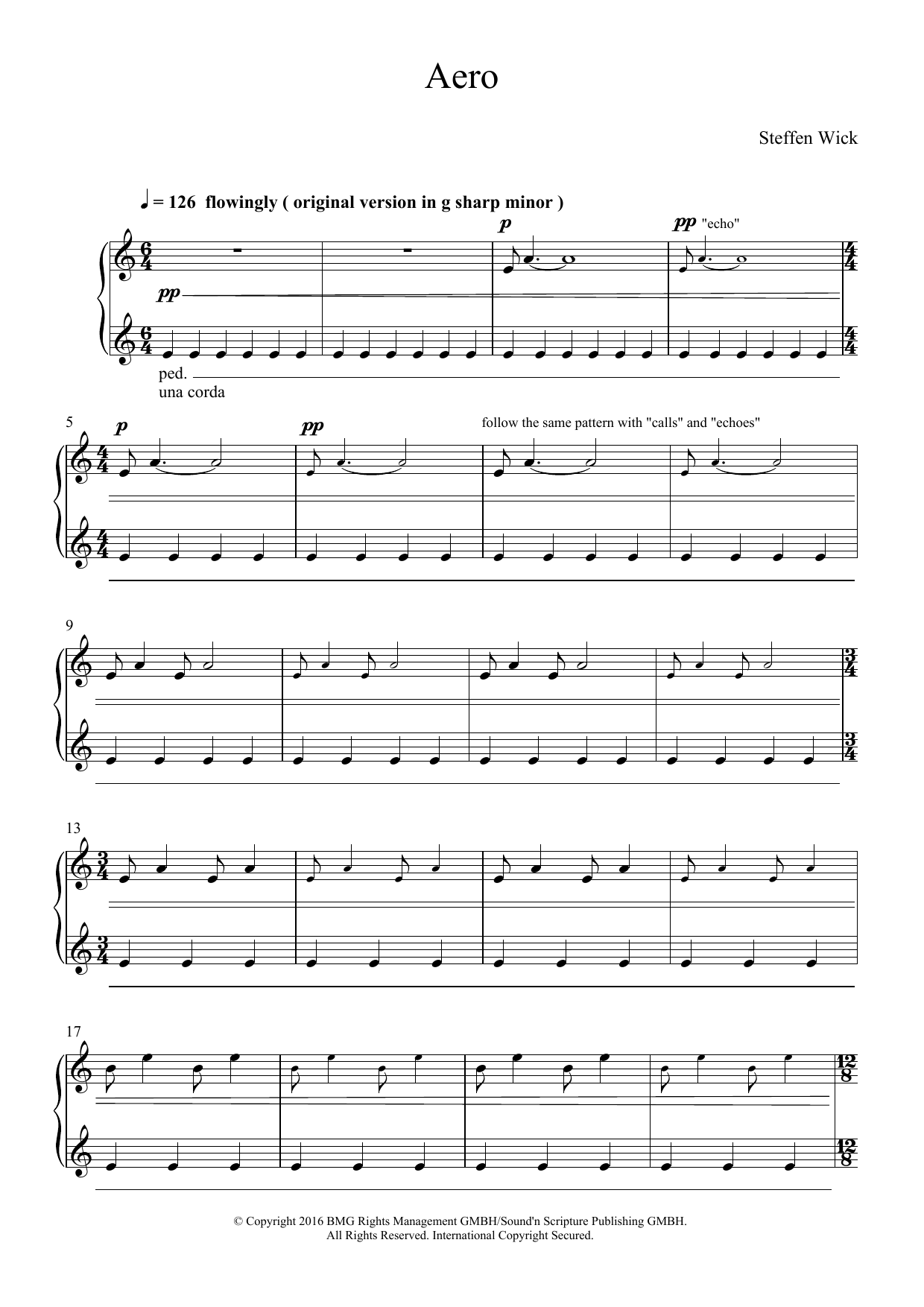 Steffen Wick Aero sheet music notes and chords. Download Printable PDF.