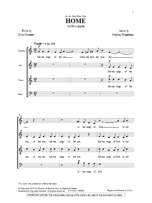 Stephen Feigenbaum Home sheet music notes and chords. Download Printable PDF.