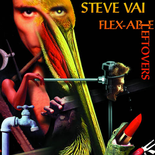 Steve Vai Details At Ten Profile Image