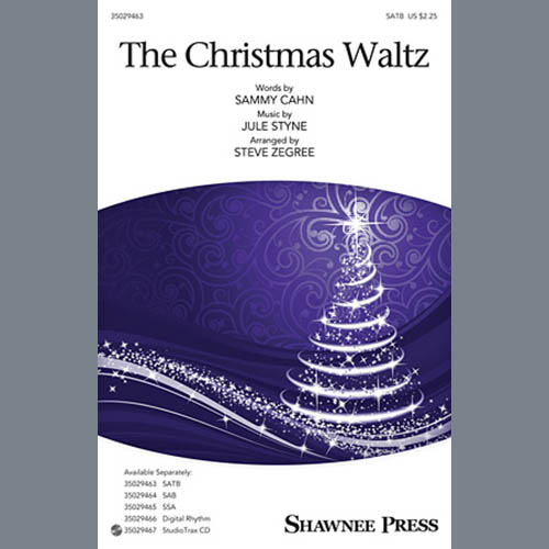 Steve Zegree The Christmas Waltz Profile Image