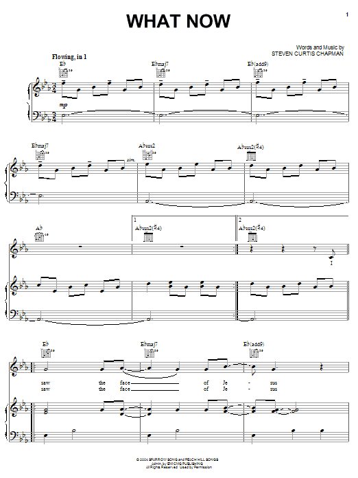 Steven Curtis Chapman What Now sheet music notes and chords. Download Printable PDF.