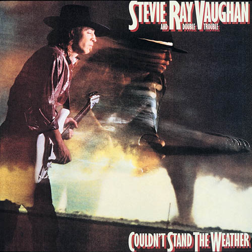 Stevie Ray Vaughan Give Me Back My Wig Profile Image