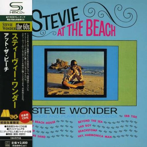 Stevie Wonder Castles In The Sand Profile Image