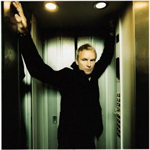 Sting After The Rain Has Fallen Profile Image