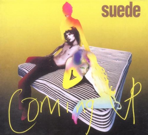 Suede Picnic By The Motorway Profile Image