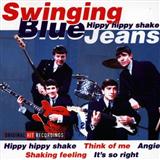 Download or print The Swinging Blue Jeans Hippy Hippy Shake Sheet Music Printable PDF 6-page score for Pop / arranged Guitar Tab SKU: 25584