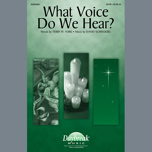 Terry W. York and David Schwoebel What Voice Do We Hear? Profile Image