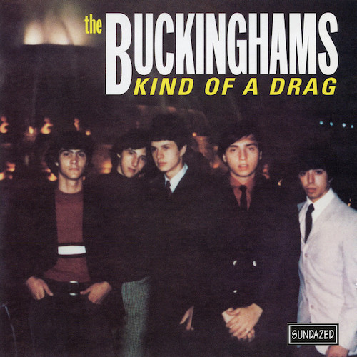 The Buckinghams Kind Of A Drag Profile Image