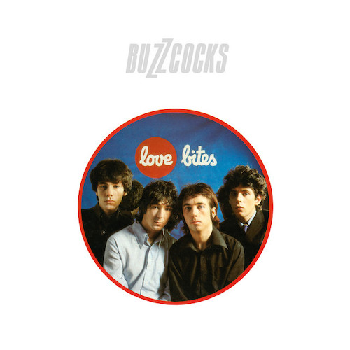 The Buzzcocks Ever Fallen In Love (With Someone You Shouldn't've) Profile Image