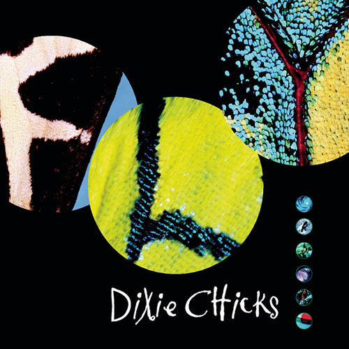 Dixie Chicks Some Days You Gotta Dance Profile Image