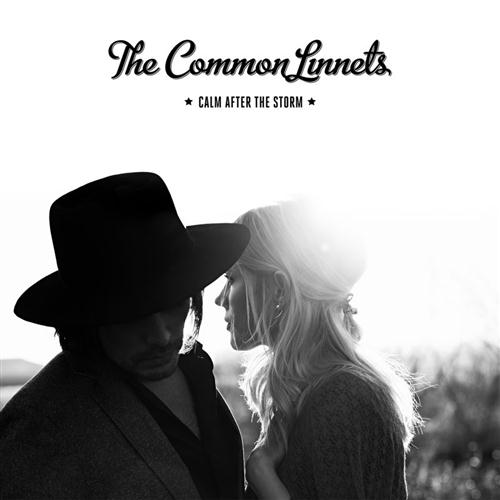 The Common Linnets Calm After The Storm Profile Image