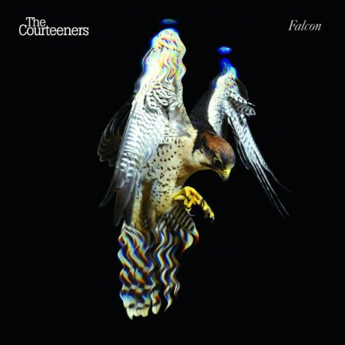 The Courteeners Take Over The World Profile Image