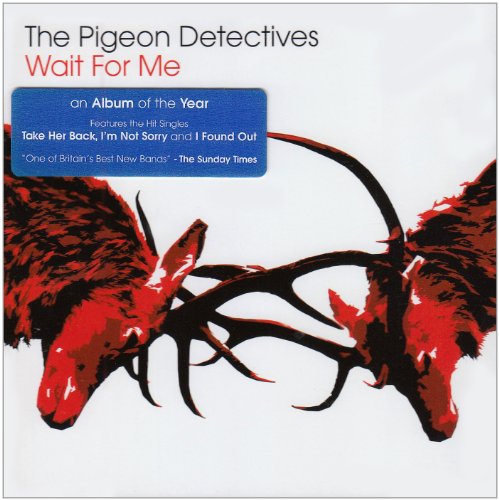 The Pigeon Detectives I Can't Control Myself Profile Image