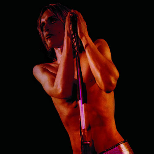 The Stooges Raw Power Profile Image