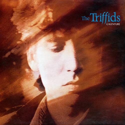 The Triffids Bury Me Deep In Love Profile Image