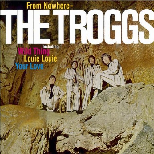 The Troggs Wild Thing Profile Image