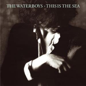 The Waterboys The Whole Of The Moon Profile Image