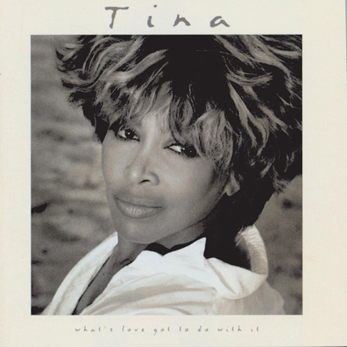 Tina Turner I Don't Wanna Fight Profile Image