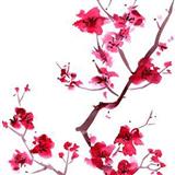Download or print Trad. Japanese Folk Song Sakura (Cherry Blossoms) Sheet Music Printable PDF 1-page score for Folk / arranged Ocarina SKU: 253456