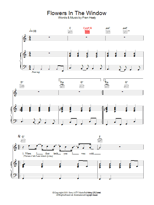 Travis Flowers In The Window sheet music notes and chords. Download Printable PDF.