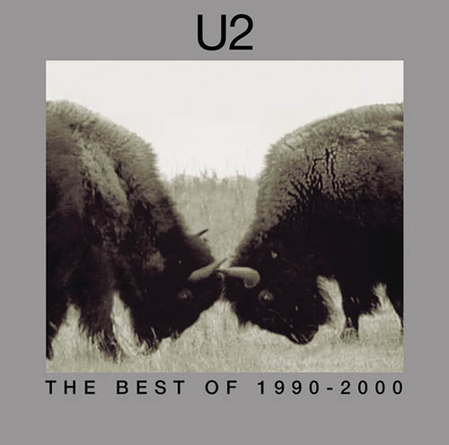 U2 The First Time Profile Image