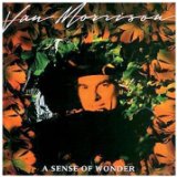 Download or print Van Morrison A Sense Of Wonder Sheet Music Printable PDF 4-page score for Pop / arranged Piano, Vocal & Guitar Chords SKU: 33199