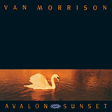Download or print Van Morrison Have I Told You Lately Sheet Music Printable PDF 2-page score for Pop / arranged Guitar Chords/Lyrics SKU: 82001