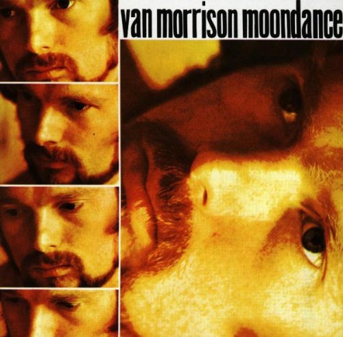 Van Morrison Into The Mystic Profile Image