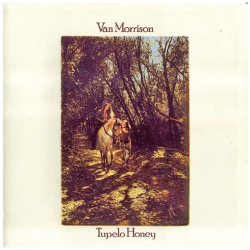 Van Morrison Wild Night Profile Image