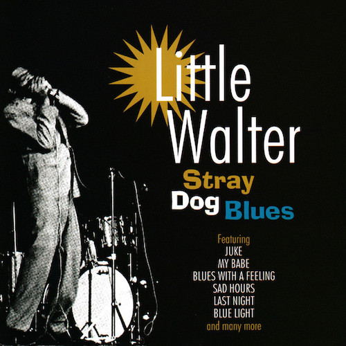 Walter Jacobs Blues With A Feeling Profile Image