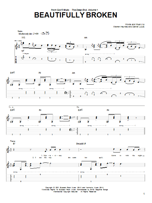 Warren Haynes Beautifully Broken sheet music notes and chords. Download Printable PDF.