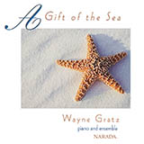 Download or print Wayne Gratz Steps In The Sand Sheet Music Printable PDF 8-page score for New Age / arranged Piano Solo SKU: 484165