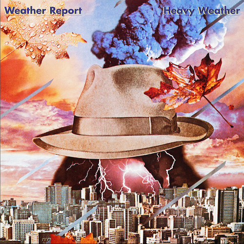Weather Report Harlequin Profile Image