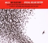 Download or print Wilco Sky Blue Sky Sheet Music Printable PDF 5-page score for Pop / arranged Guitar Tab SKU: 66936