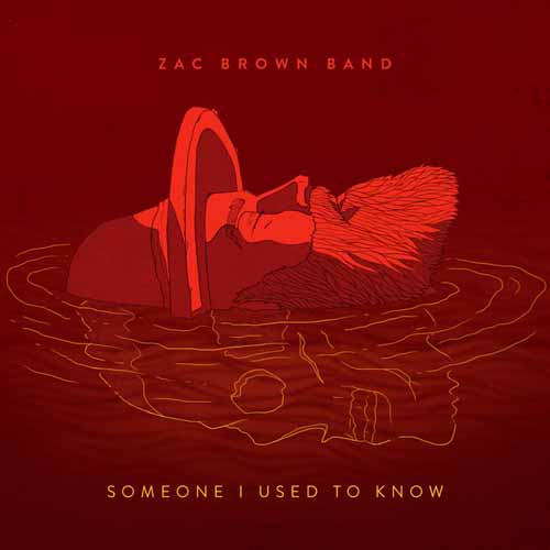 Zac Brown Band Someone I Used To Know Profile Image