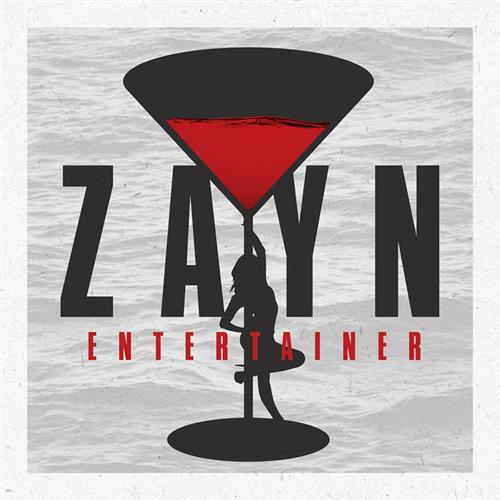 Zayn Entertainer Profile Image